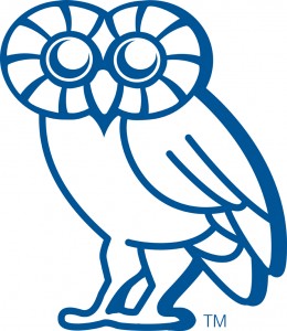 Rice Owl Blue